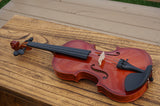 PLYWOOD VIOLIN --  合板小提琴
